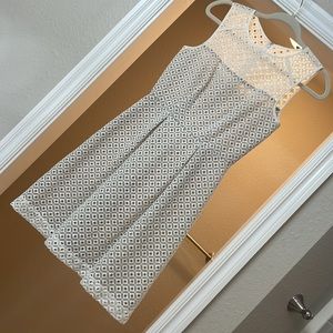 Fun CK White and Gray Dress